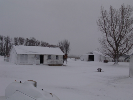 DSC03851_544x408.jpg